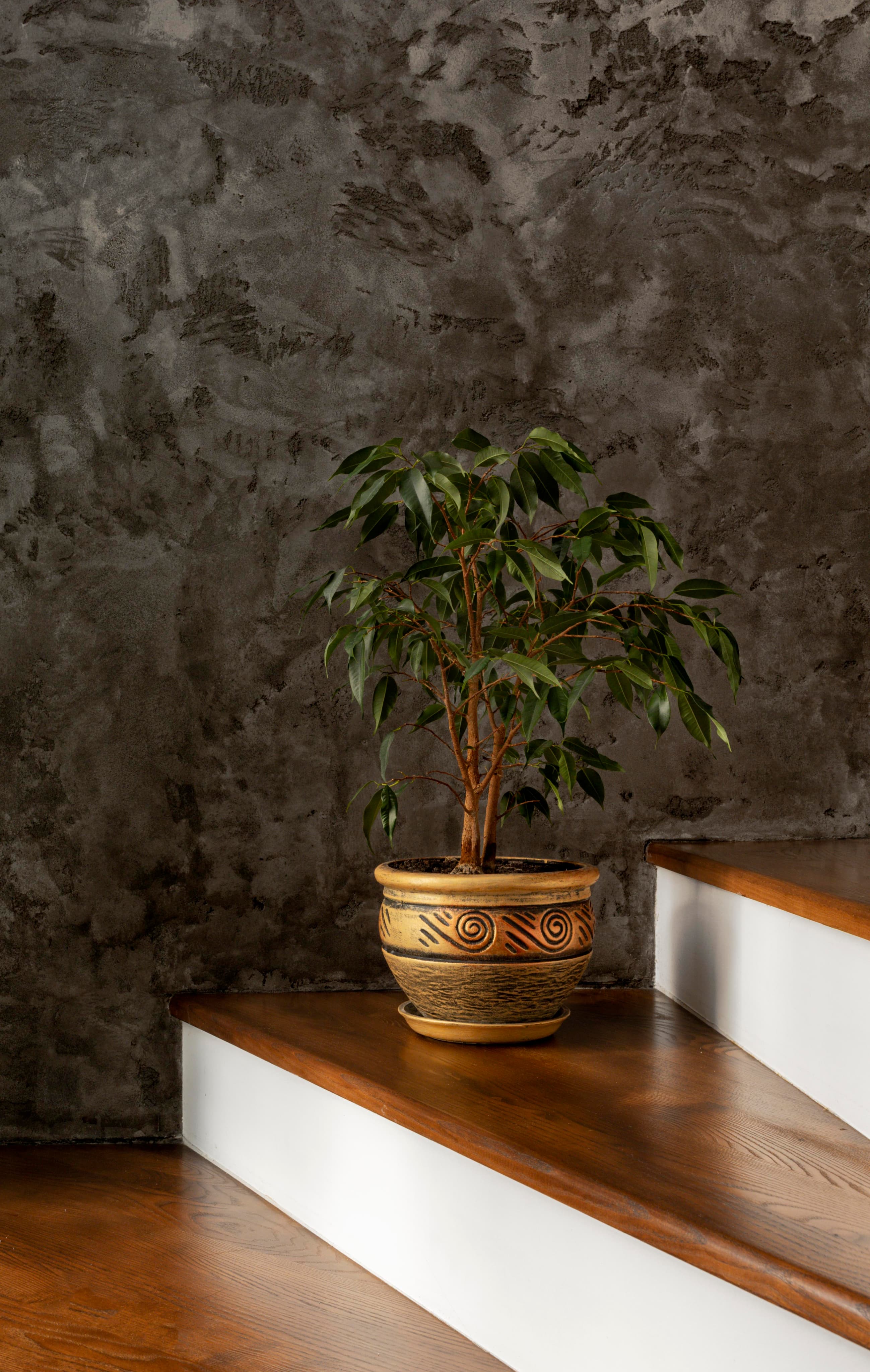 A sunlit interior with a dark timber sideboard and dried branches